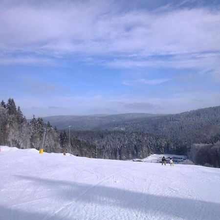 Apartment In Schnett Near The Ski Area Экстерьер фото